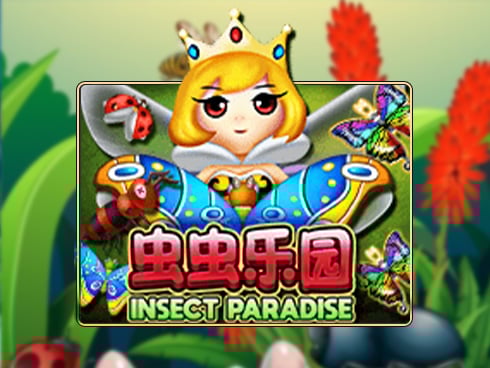 Insect-Paradise
